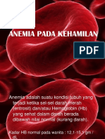 Anemia Pada Kehamilan