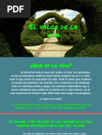 El Valor de La Vida