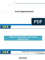 Aula Estruturas Organizacionais - Tópico 2 PDF