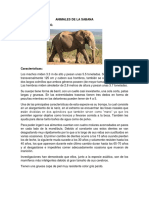 ANIMALES DE LA SABANA.docx