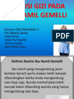 Nutrisi Gizi Ibu Hamil Gemelli Kel 4