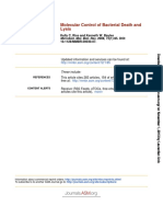 Molecular Control of Bacterial Death and Lysis