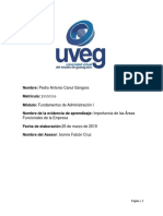 Pedro Antonio Canul Góngora - Importancia de Las Áreas Funcionales