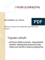 Sistem Muskuloskeletal