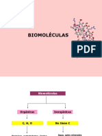 Biomoléculas 4