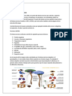 El Sistema Nervioso Autónomo