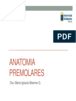 Anatomia Premolares PDF