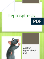 Penyuluhan Leptospirosis