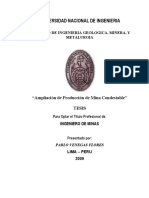 camaras y pilares conestable.pdf