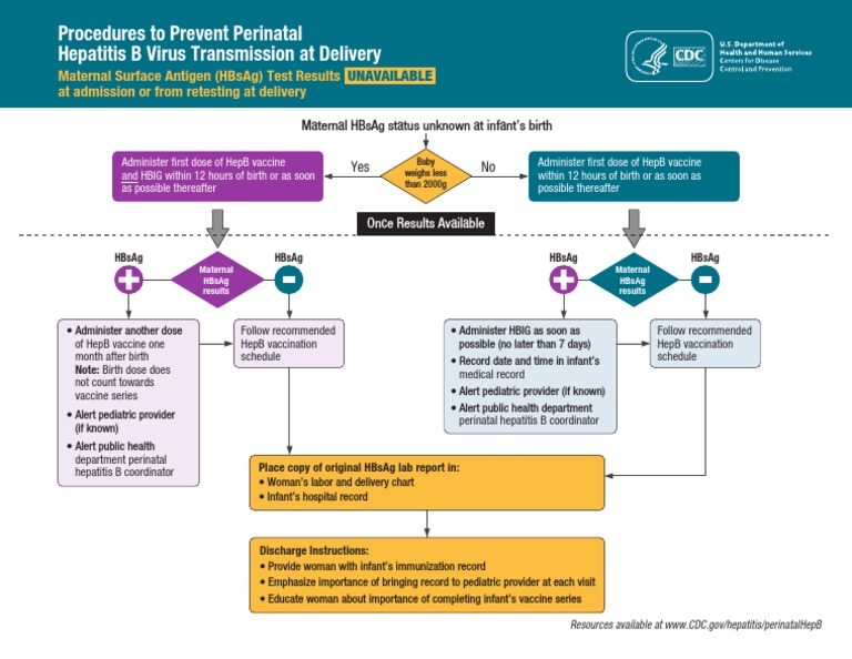Perinatal Hepatitis B Prevention Protocol | PDF | Childbirth | Medical ...