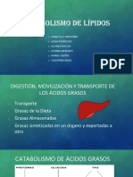 Metabolismo de Lípidos