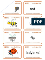 Flashcards Bugs PDF