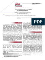 Respuestas metabólicas al estrés de levaduras de importancia industrial