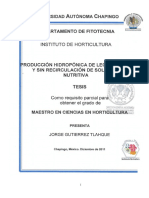 Producción hidropónica de lechuga con y sin recirculación de solución nutritiva.pdf