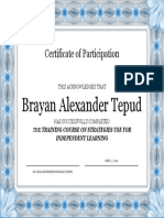 Brayan Alexander Tepud: Certificate of Participation
