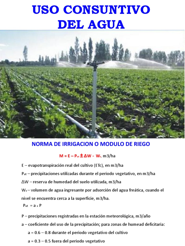Módulo de Riego y Uso de Agua en Cultivos | PDF | Evapotranspiración ...
