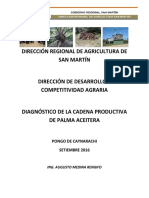 04-03-2019 185433 PM Diagnostico de La Oferta de Palma en La Región San Martin