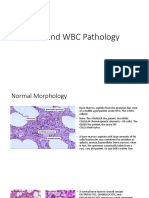 RBC and WBC Pathology