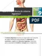 dt9 Qual a importância do sistema digestivo (1).pptx