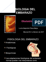 Fisiologia Del Embarazo