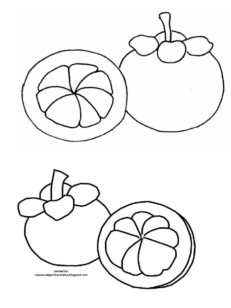 22 Gambar Sketsa Buah Terlengkap Gambar Mania via