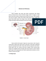 Tinjauan Pustaka Kolik Renal Revisi