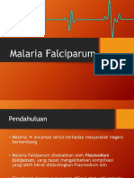 Malaria Falciparum