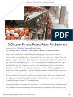 Layer Farming Project Report For Beginners