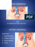 System Urinarius DR - Asfiah