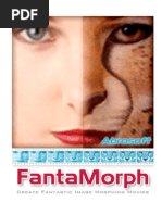 Fanta Morph 4