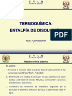 Practica Termoquimica (ACPL)