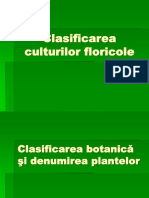 Clasificarea Culturilor Floricole[1]