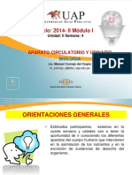Semana 4 - Aparato Circulatorio y Urinario.pdf