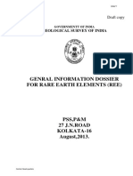 GSI Draft Report on Rare Earth Elements