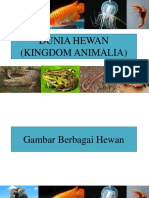 PPT Bahan Ajar Kingdom Animali ( Porifera - Coelenterata)