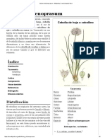 Allium Schoenoprasum - Wikipedia, La Enciclopedia Libre
