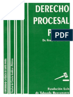 1 Libro de Derecho Procesal Penal.pdf