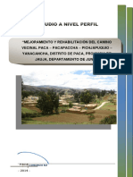 Caminos Vecinale.pdf