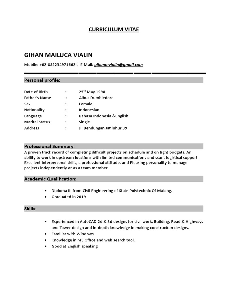 Gihan Mailuca Vialin: Curriculum Vitae | PDF | Business | Art