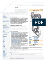 Oído Externo PDF