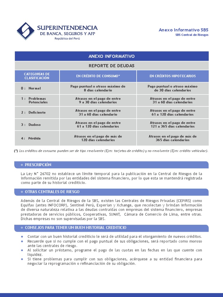 AnexoInformativoReporteCentralRiesgos PDF | PDF