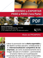 EXPORTACIÓN TRABAJO.pdf