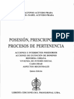 BELM-24543 (Posesión, Prescripción y Procesos - Acevedo)