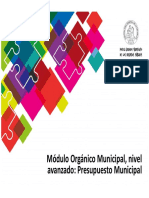 45 Orgánico Municipal Avanzado Presupuesto Municipal