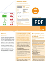 BASF Quality Standards For PDF Invoices ES