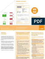 BASF Quality Standards for PDF Invoices ES