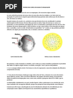 Teorias Das Cores(2019)