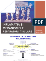 Curs 10 - Fiziopatologie I - 2016-2017.pdf