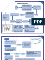 Organizador Gráfico Practica 1 Instrumentacion