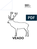 Veado